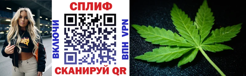 Бошки марихуана White Widow  Курчалой 